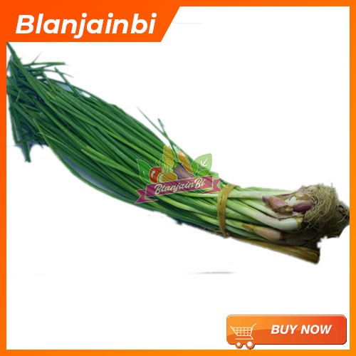 

Bawang Cung Bandung Area