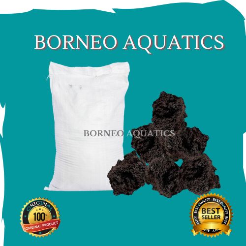 BATU LAVAROK HITAM ( 1 KARUNG ) // AQUARIUM // AQUARIUM