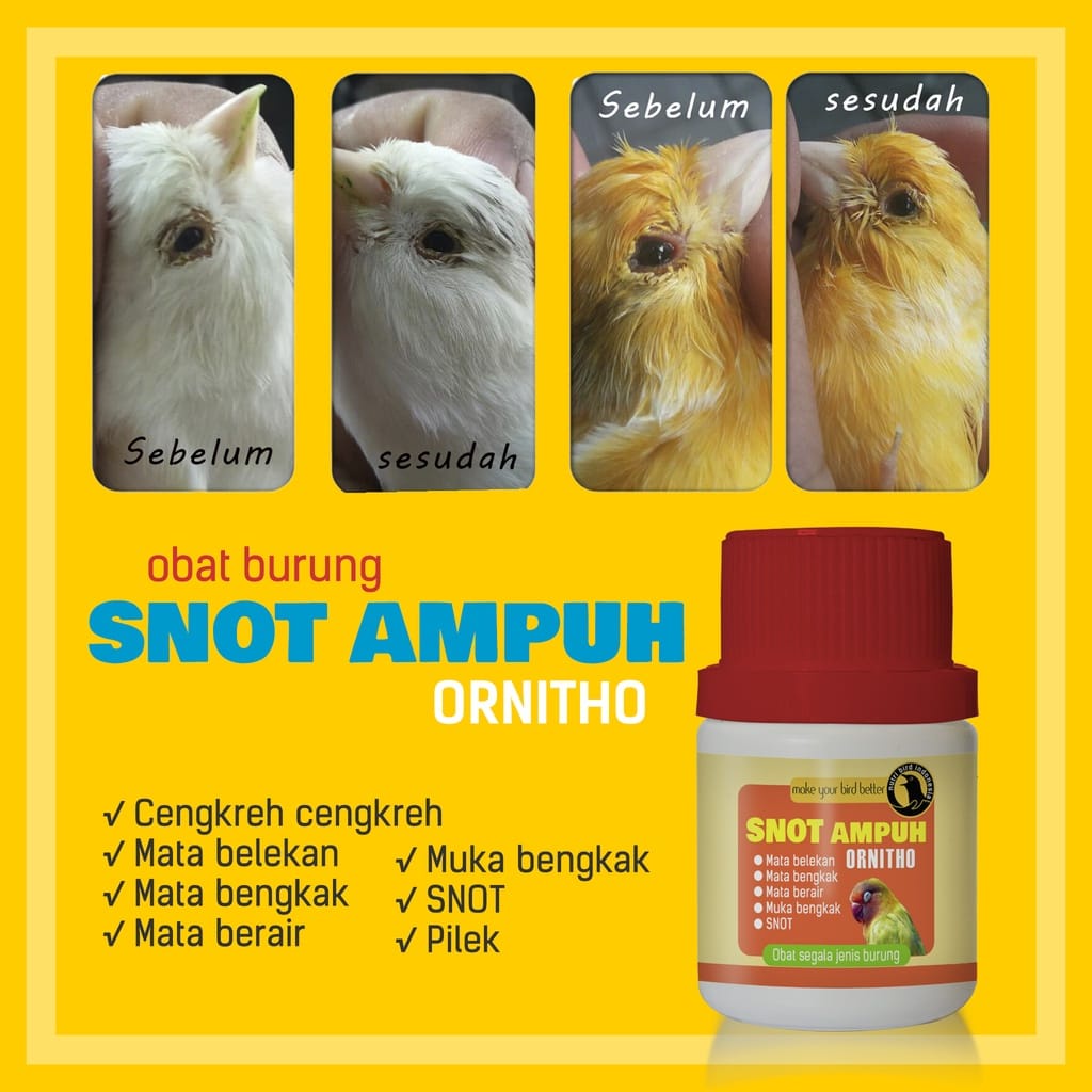 Obat burung SNOT AMPUH Ornitho