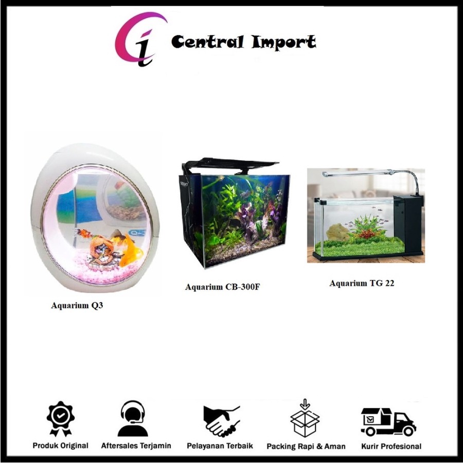 Aquarium Ikan Hias - Aquarium Ikan Hias - Akuarium