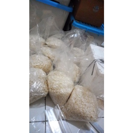 

SISIK IKAN RED SNAPPER / Kakap Merah 500 gr