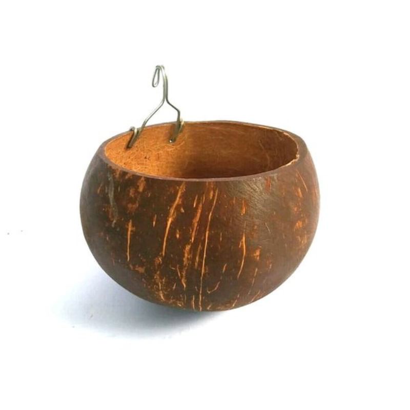 Tempat minum ayam tempat pakan ayam