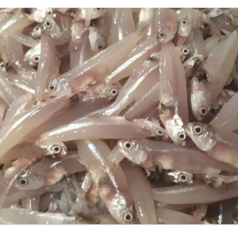 

Ikan teri basah segar/250grm