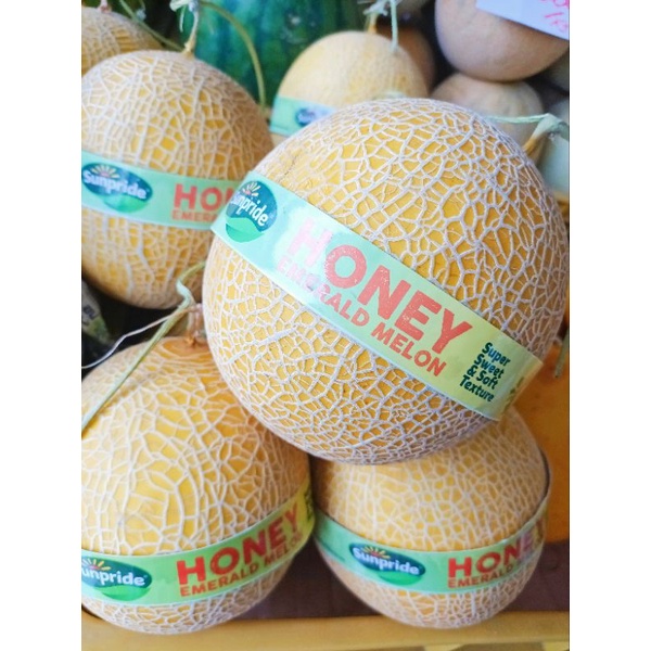 

Melon Madu Melon Emerald