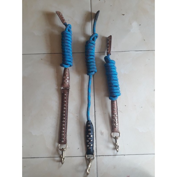 Tali anjing kampung ataw ras