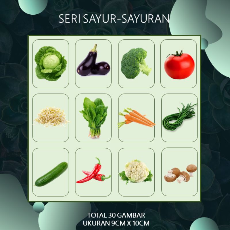 FLASHCARD Seri Sayuran