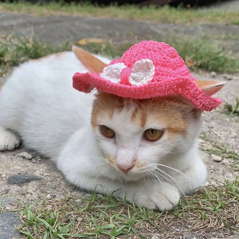 Topi rajut untuk hewan peliharaan kucing dan anjing