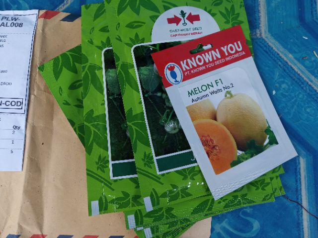 Benih Bibit Labu Madu Labu Madu F1 Isi(10btr)