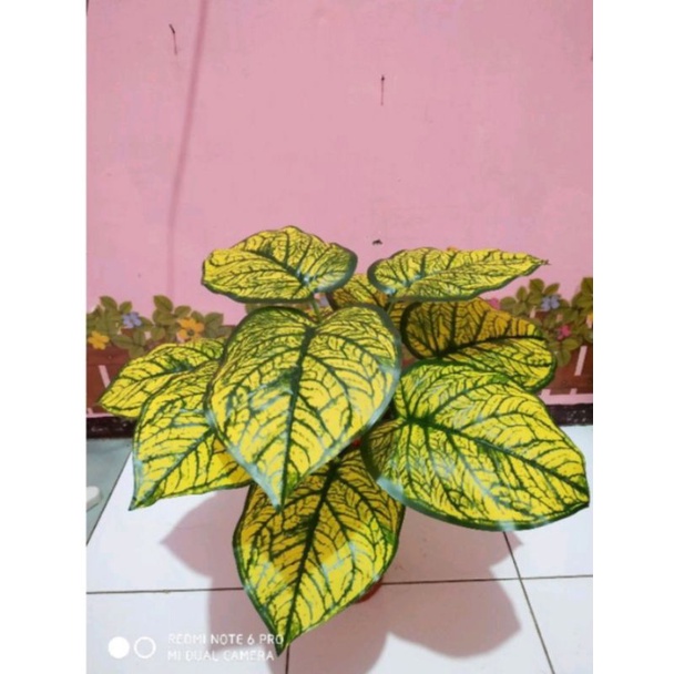 keladi hias, monstera palsu bunga artificial