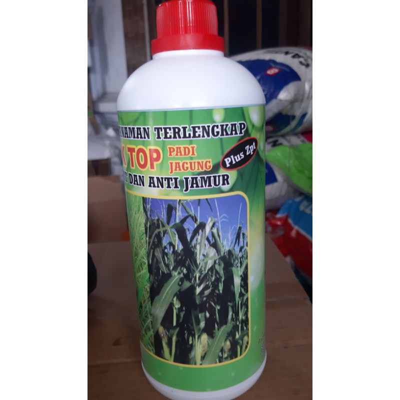 Nutrisi Tanaman Padi dan Jagung