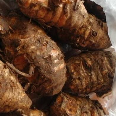 

STAR BRANDS Biang kunyit 500g