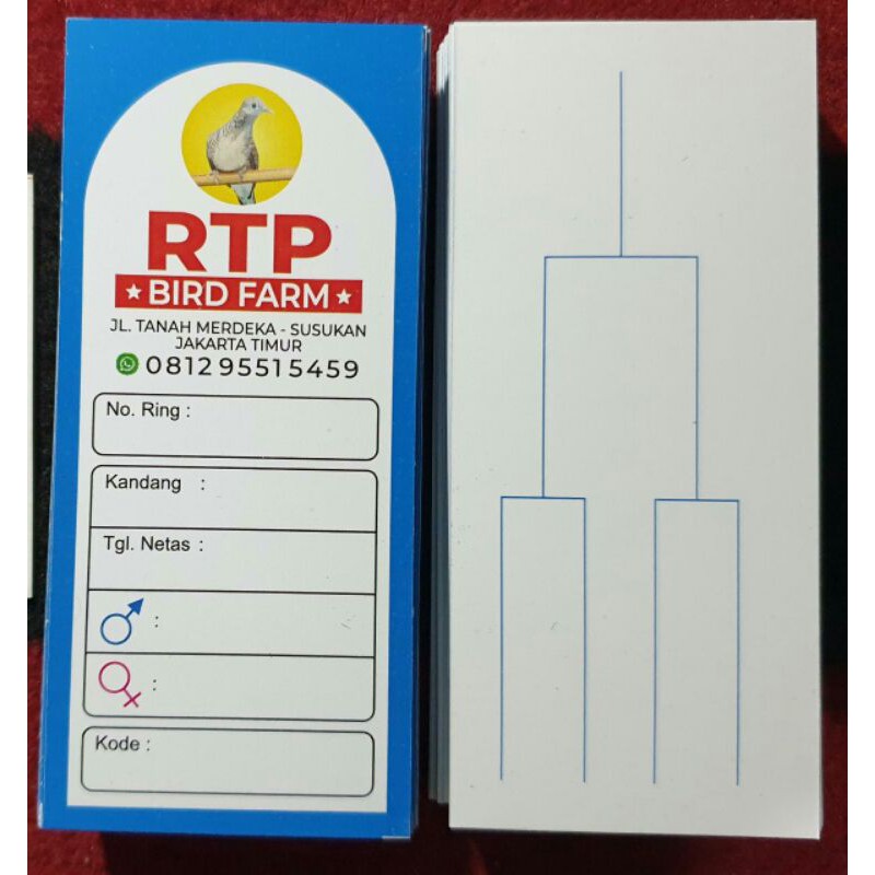 MEWAH DAN MURAH.. KITIR /kertas silsilah keturunan burung untuk PERKUTUT harga per 100 lembar