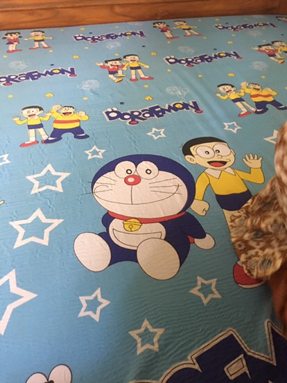 Kasur Busa Royal Foam  200 X 160 X 20 Density D23 Garansi 15 Tahun