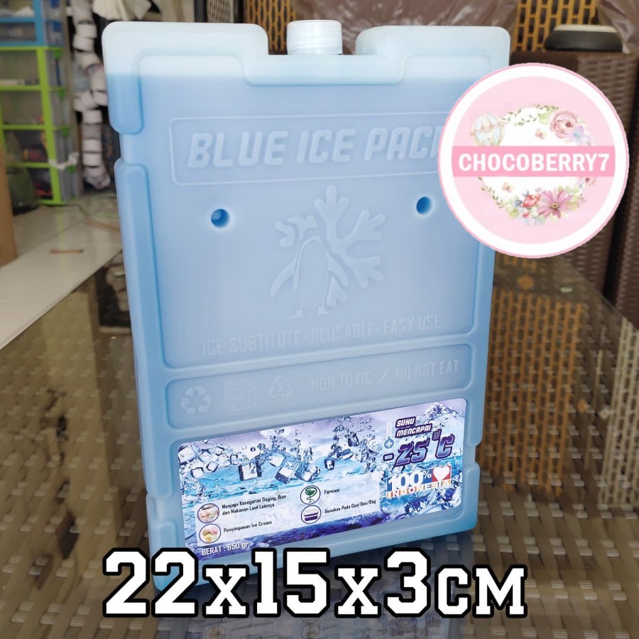 Ice Pack Sedang Blue Ice Pack Medium Reusable Pengganti Dry Ice