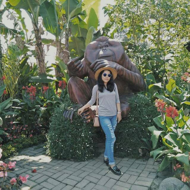 herminaroselitahutasoit