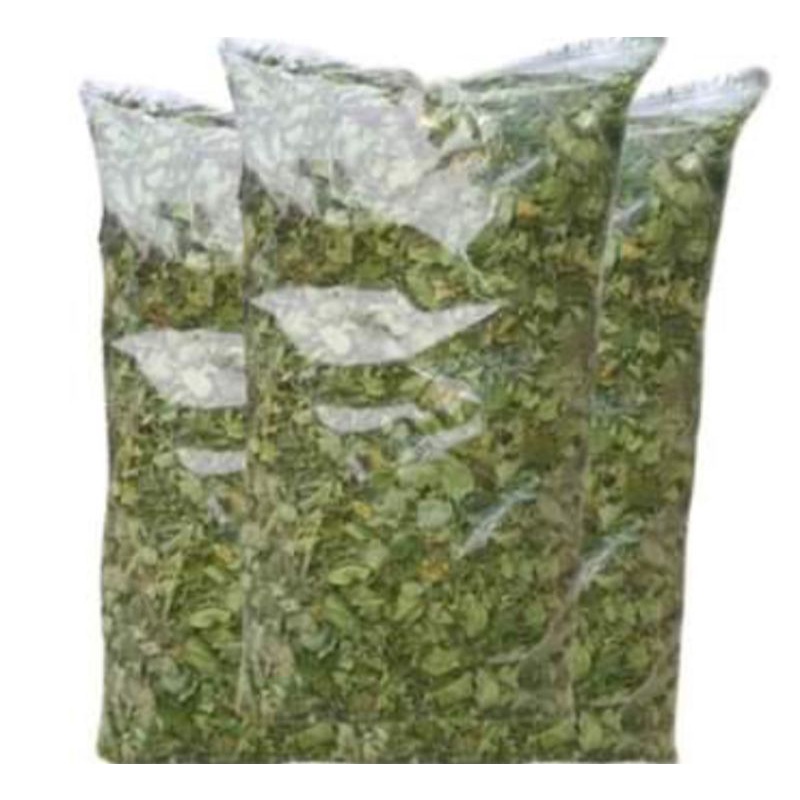 

Daun kelor kering