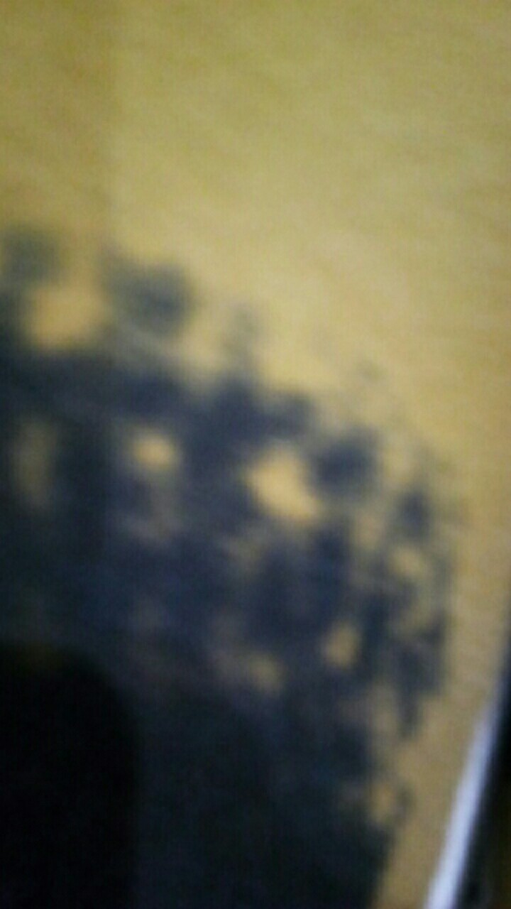 Daster Murah Kekinian Daster Batik Pekalongan