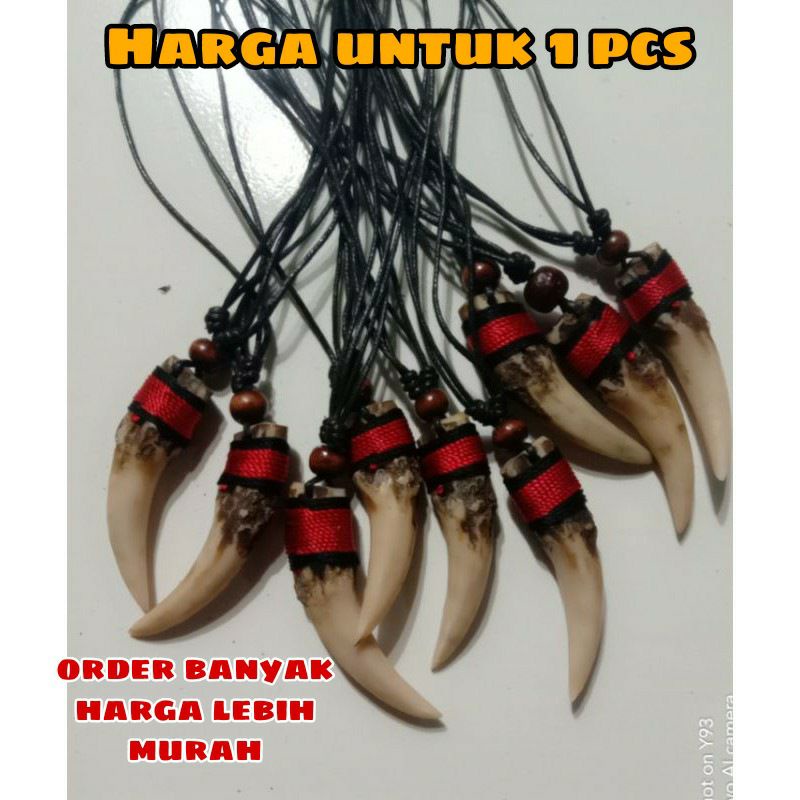 Kalung Etnik Pria Dayak Bandul Taring Macan