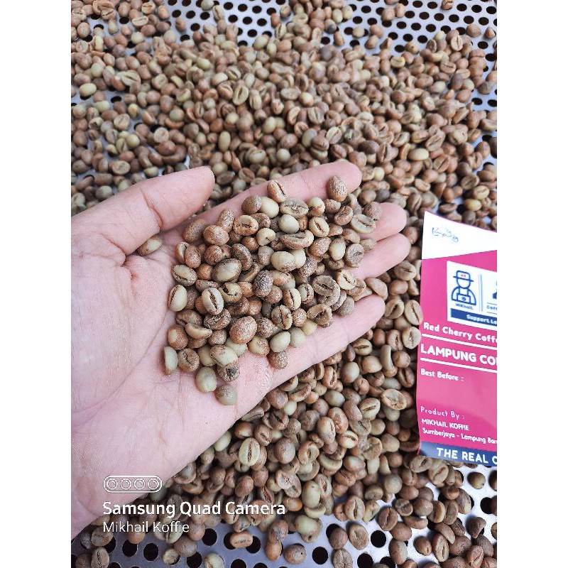 

Kopi Robusta Petik merah