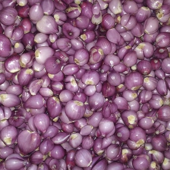 

Bawang Merah Kupas 500 Gram