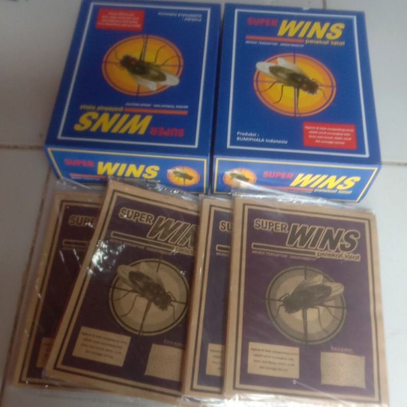 

LEM LALAT SUPER WINS