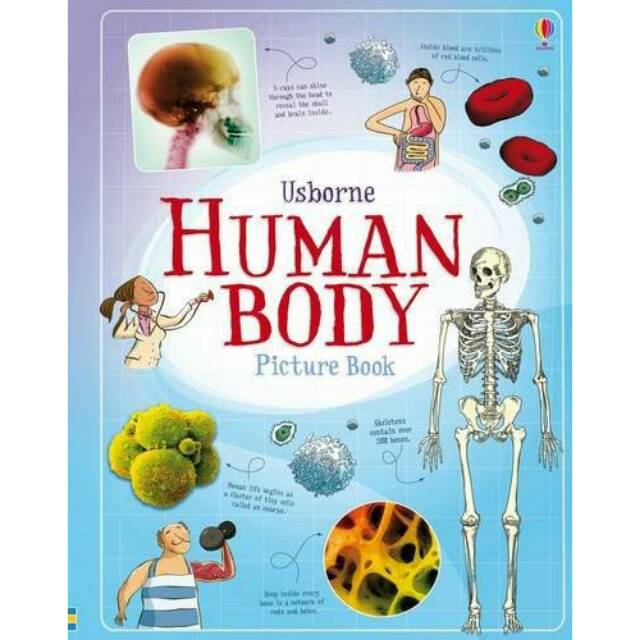 USBORNE Human Body Picture Book