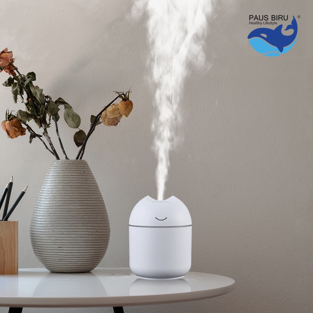 Humidifier Diffuser Aromatherapy 250-500ML+ Remote-5