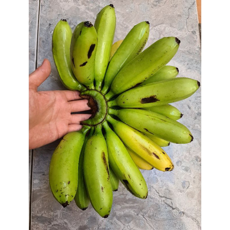

buah pisang mas emas mpasi manis besar per sisir