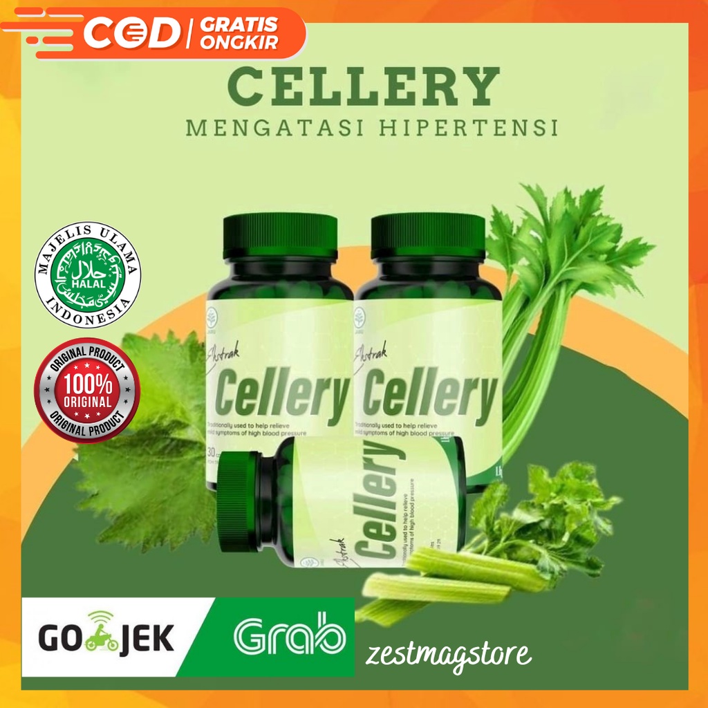 (BISA COD) CELLERY ASLI Obat Herbal  Penurun Hipertensi  Darah Tinggi