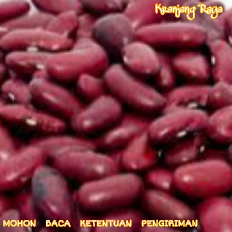 

Kacang Merah