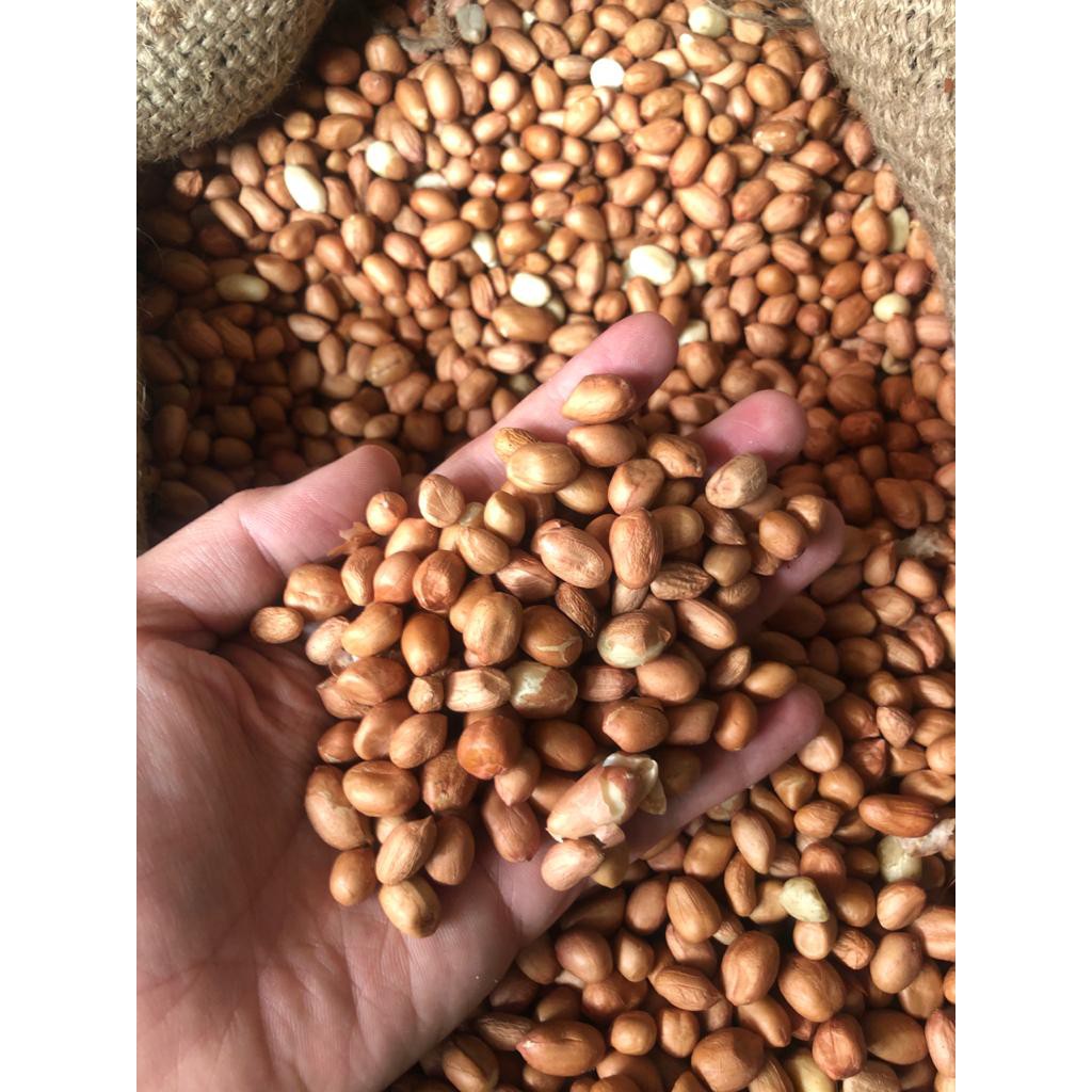 

Kacang Tanah Import Super 1000gr