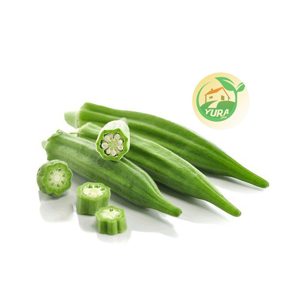 

OKRA HIJAU Organik 100% Sayur Segar Organic