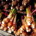 

talas Bogor 1ikat 3 sampai 6 buah