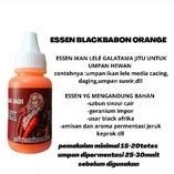 ESSEN IKAN LELE TARGET BABON DAN TOTAL ORANGE