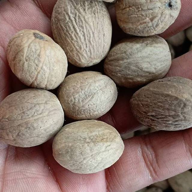 

Grosir Biji pala kupas 1kg bulat kualitas super