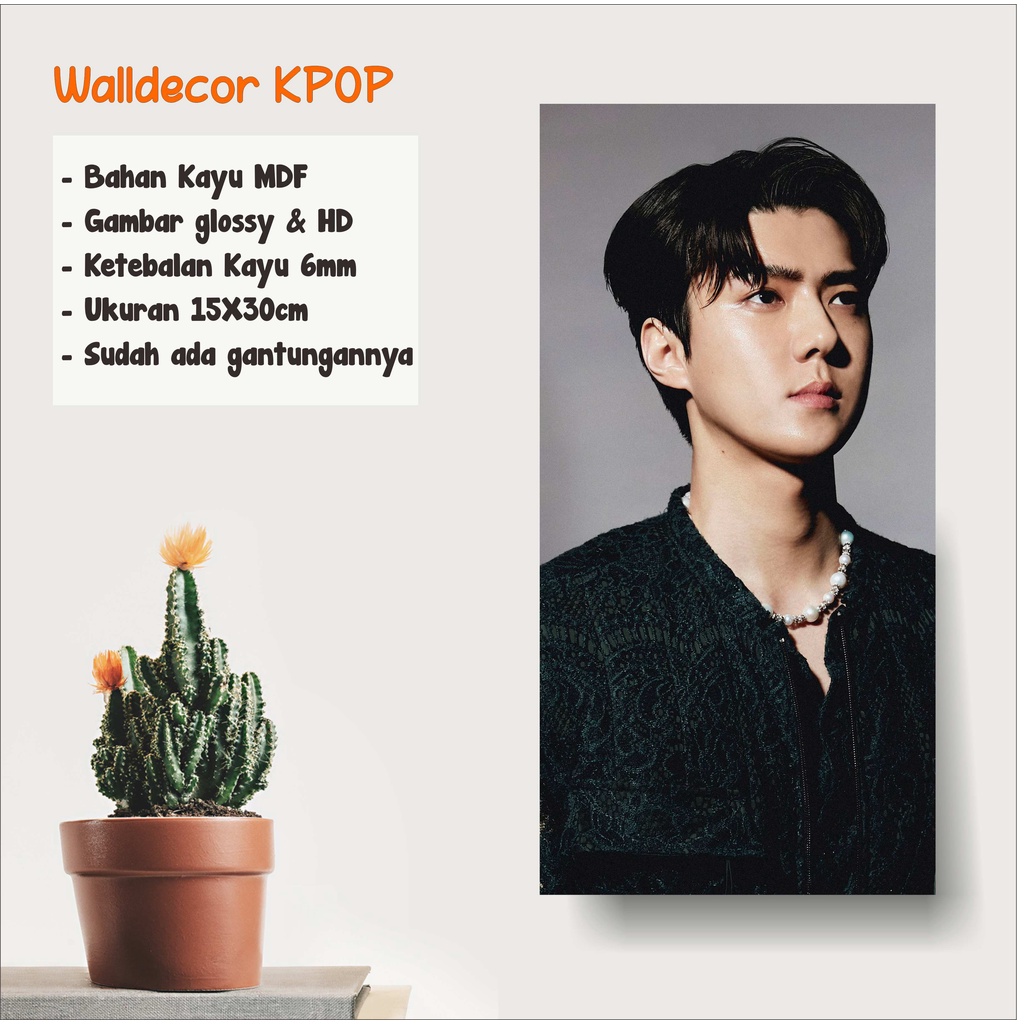 WALLDECOR EXO SEHUN DONT FIGHT THE FEELING UKURAN 15X30 CM WALL DECOR POSTER KAYU HIASAN KPOP