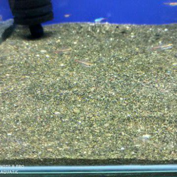 PASIR MOZA 1 KG PASIR AQUARIUM