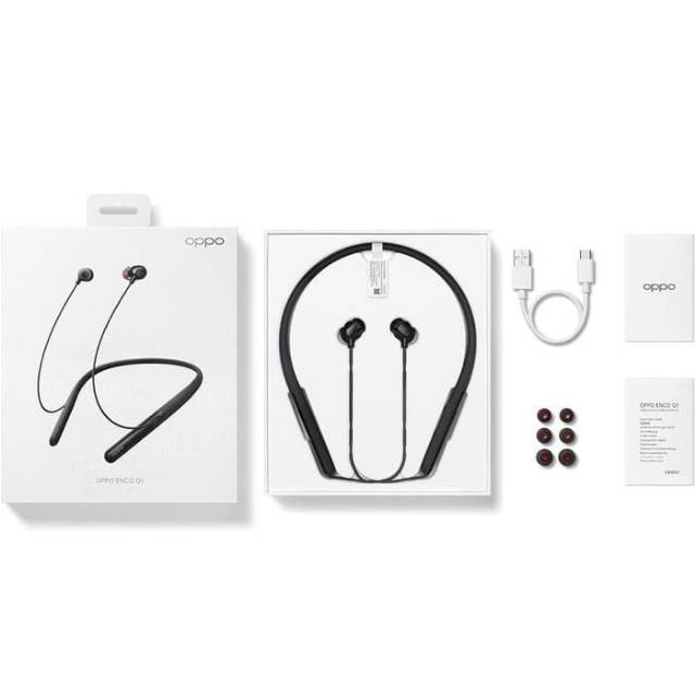 OPPO ENCO Q1