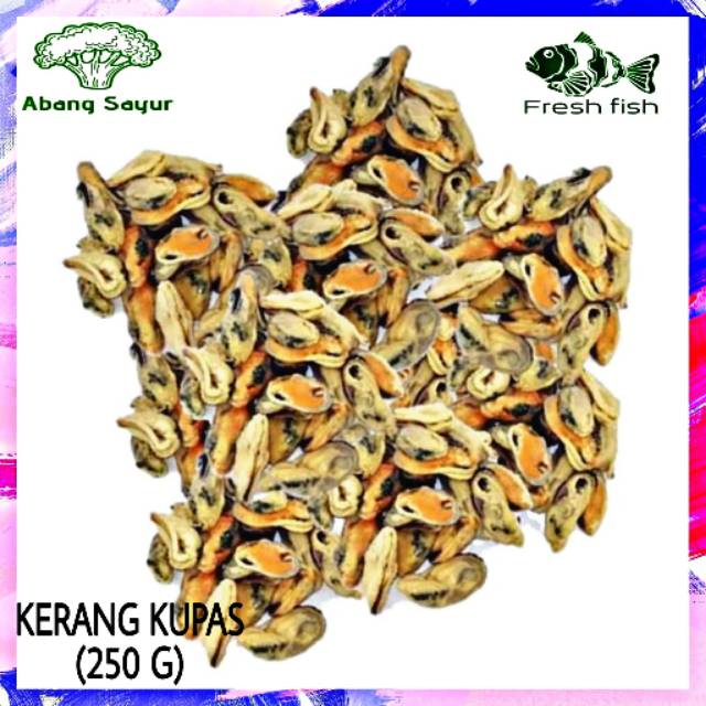 Kerang Hijau Kupas Hasil Laut Segar 250gr Shopee Indonesia