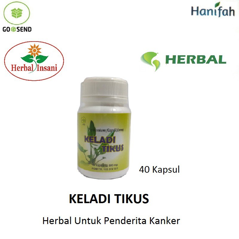 Obat Herbal Keladi Tikus Herbal Insani Herbal Kanker Shopee Indonesia