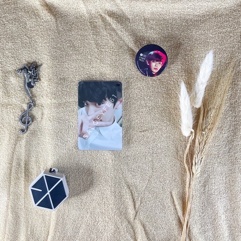 EXO CHANYEOL OFFICIAL ELYXION DOT PHOTOBOOK PHOTOCARD (PC)