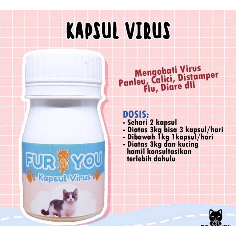 paket obat kapsul virus kucing . obat virus panleukopenia distamper calici