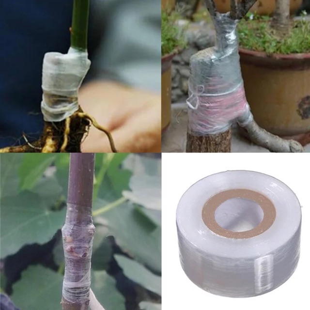 Grafting Tape - Plastik Okulasi, Sambung Pucuk / Enten - 3 cm