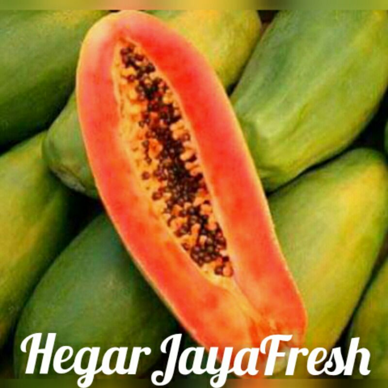 

pepaya thailand 2-3kg