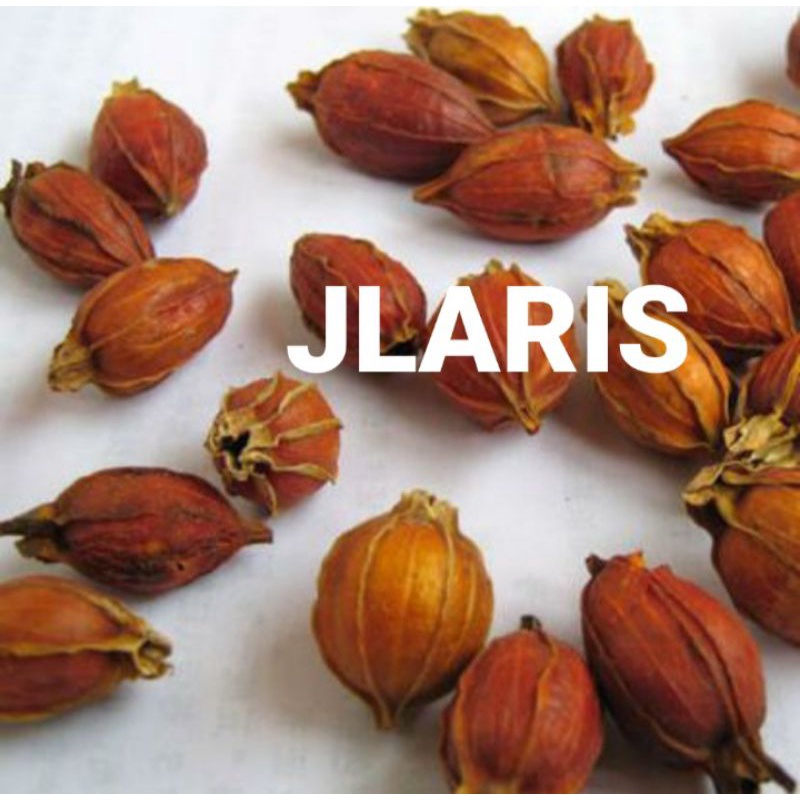 

herbal san zhi zi /sua ki ci isi 37 gram - untuk bayi kulit kuning