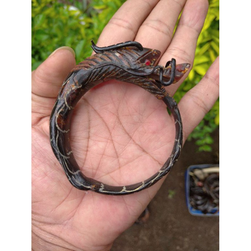 akar bahar merah