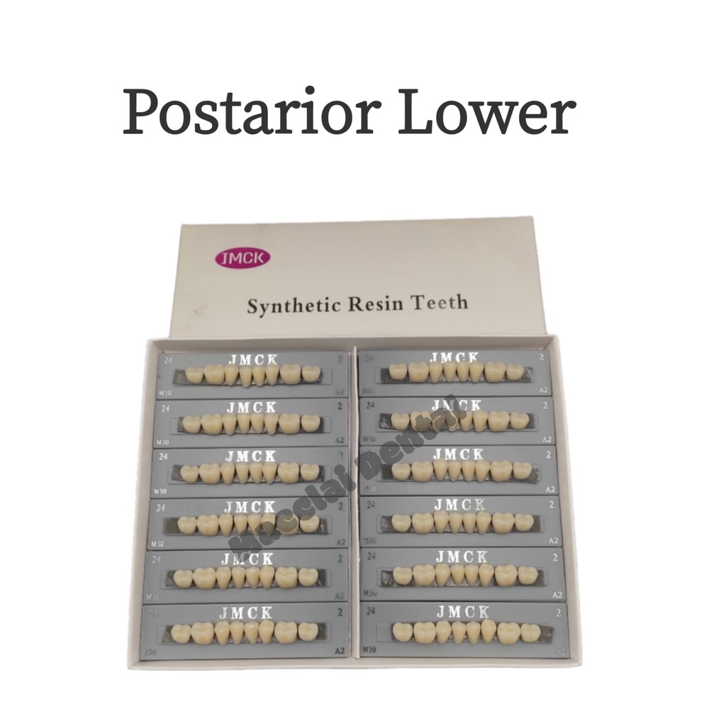 DENTAL GIGI PALSU POSTERIOR LOWER / BELAKANG BAWAH 1 BOX RESIN TEETH