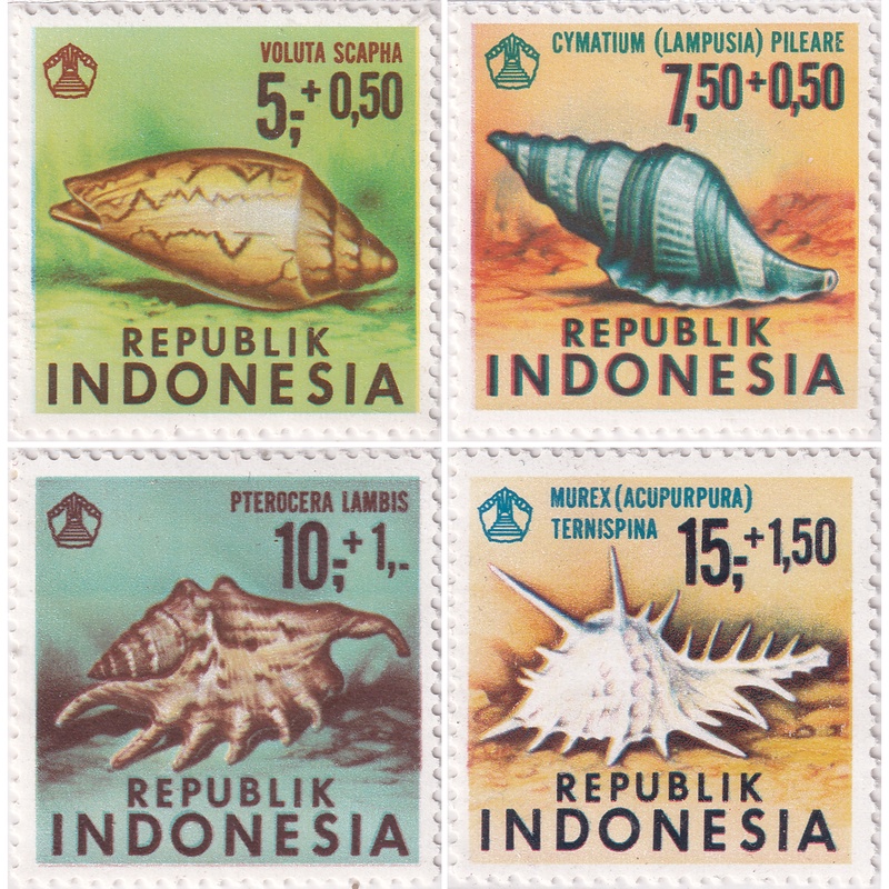 

Prangko Indonesia 1969 - Seashells Surtaxed