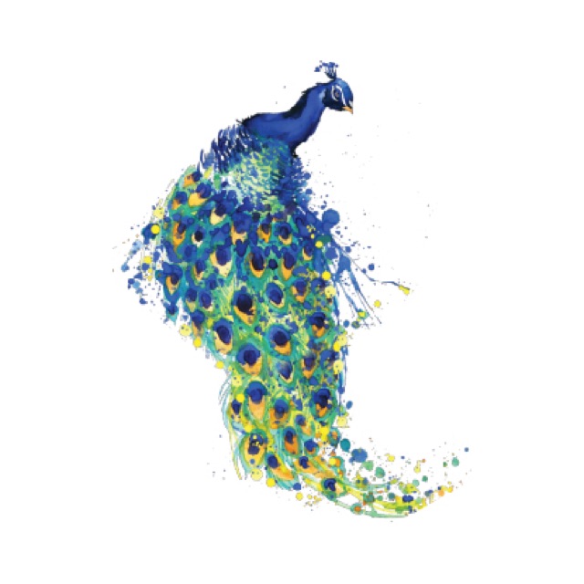 

POTATOO B Mystic peacock Temporary Tatto Sticker