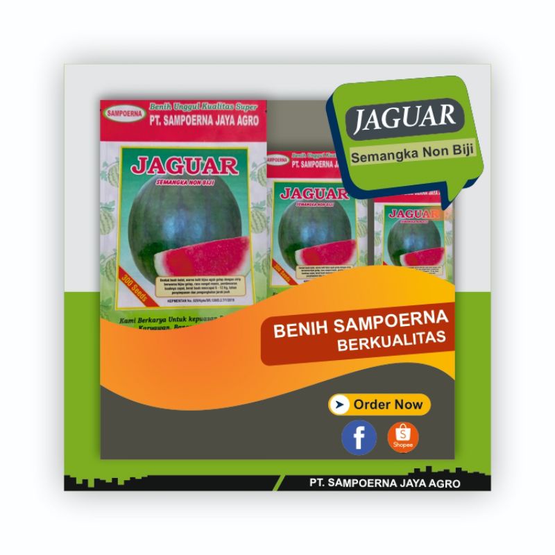 Benih semangka non biji bulat